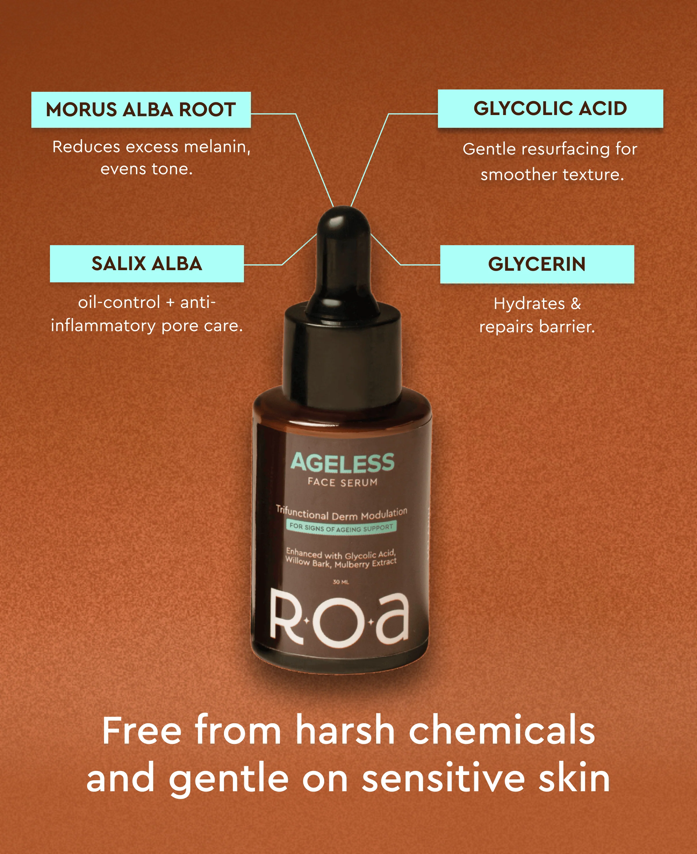 AGELESS - AHA BHA DUAL ACTION FACE SERUM - Image 3