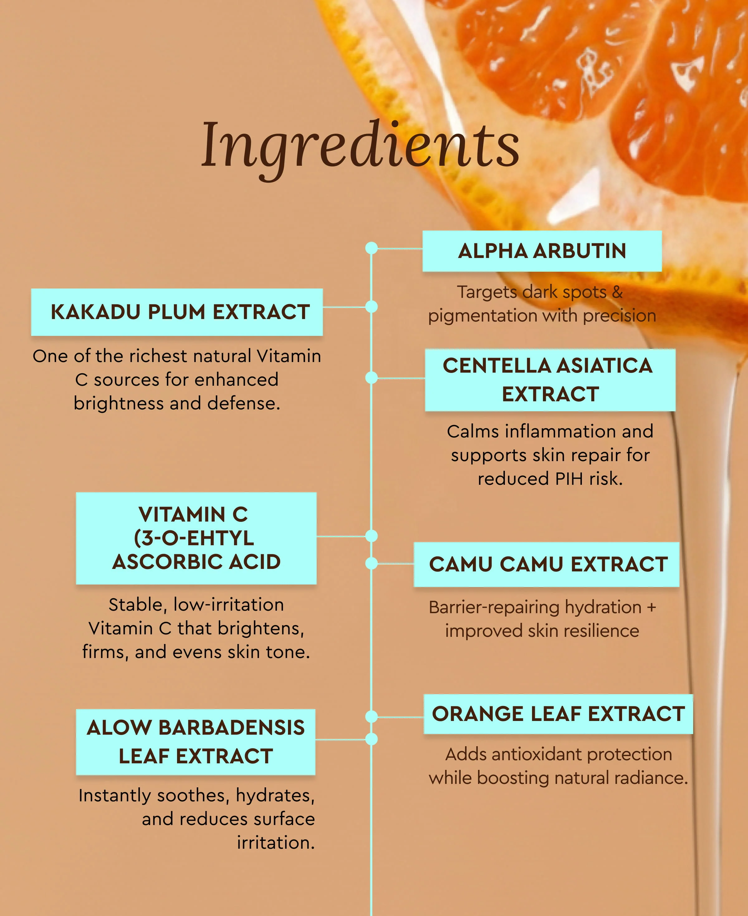 BRIGHT – 10% VITAMIN C FACE SERUM - Image 4