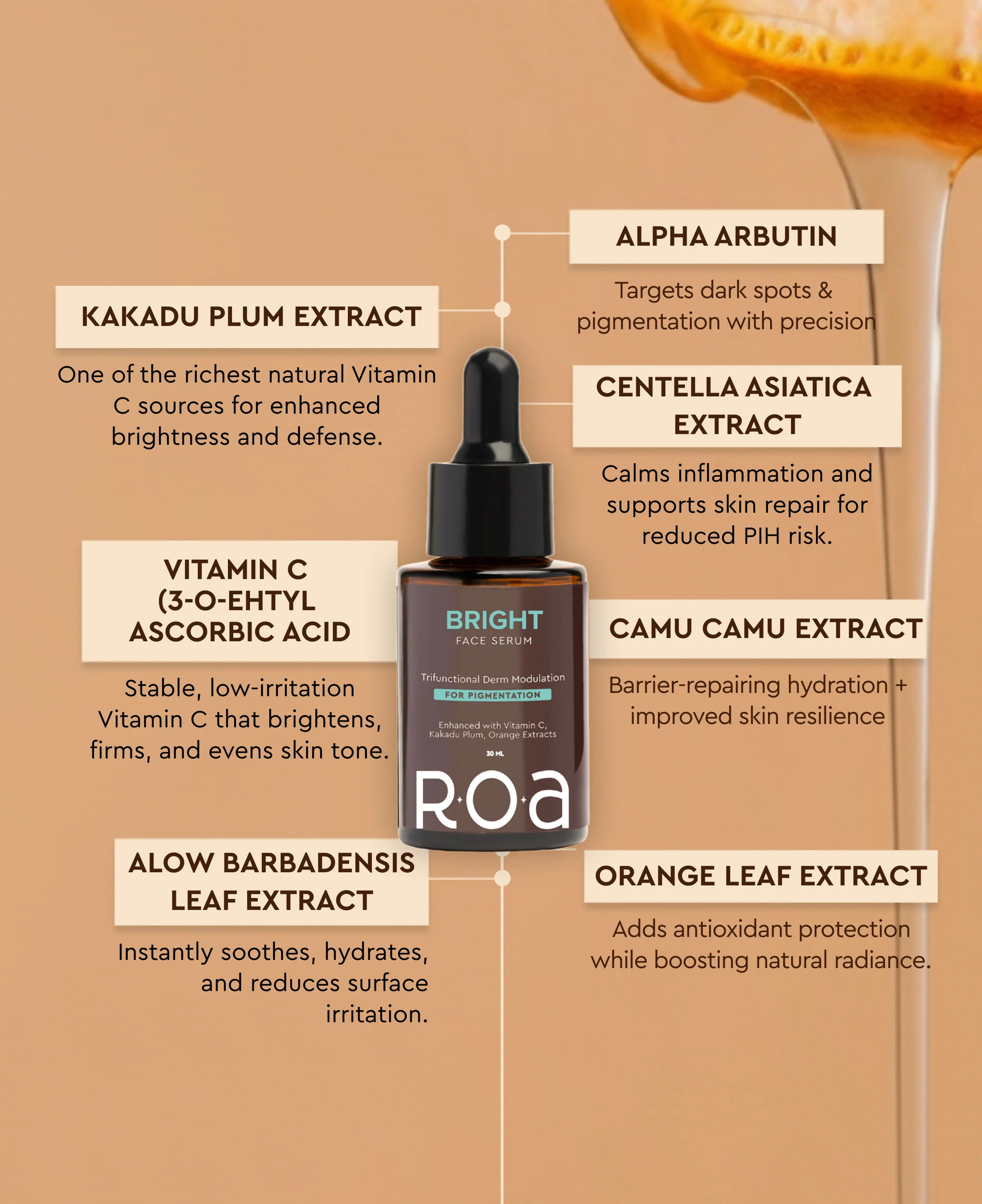 Melanin-Rich Dry Skin Glow Kit (Advanced) - Image 8